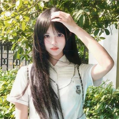 老师与流浪猫