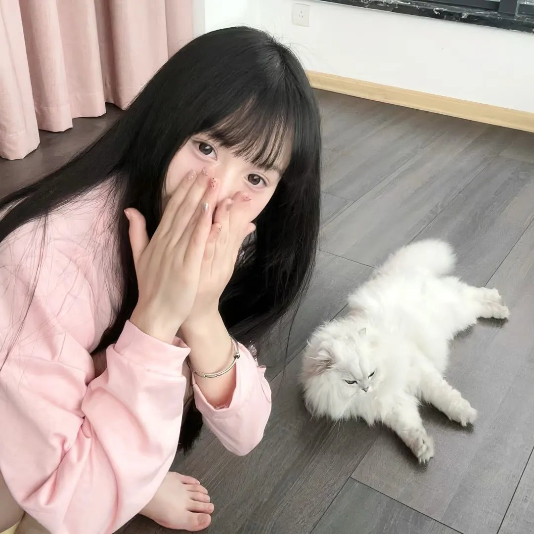 完美的主人